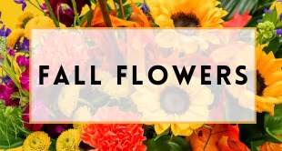 Fall Flowers